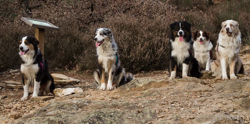 1517392_10201605017511835_517173263_n