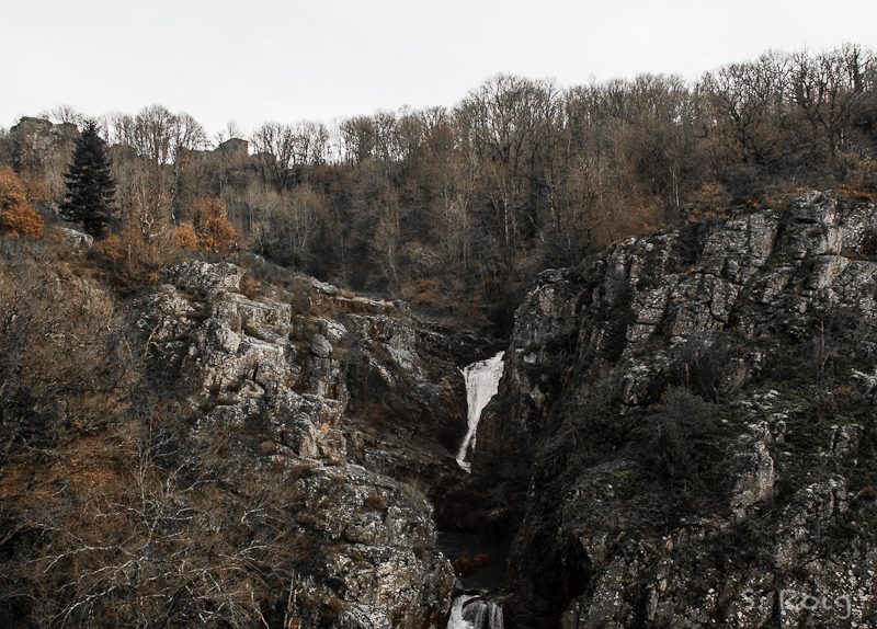 1525470_10201605741849943_458765751_n