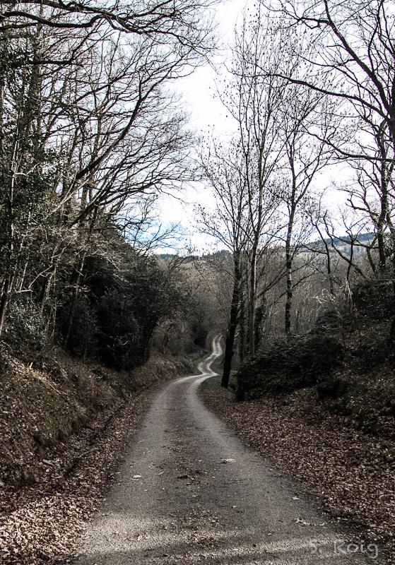 1531878_10201604978150851_1779485050_n