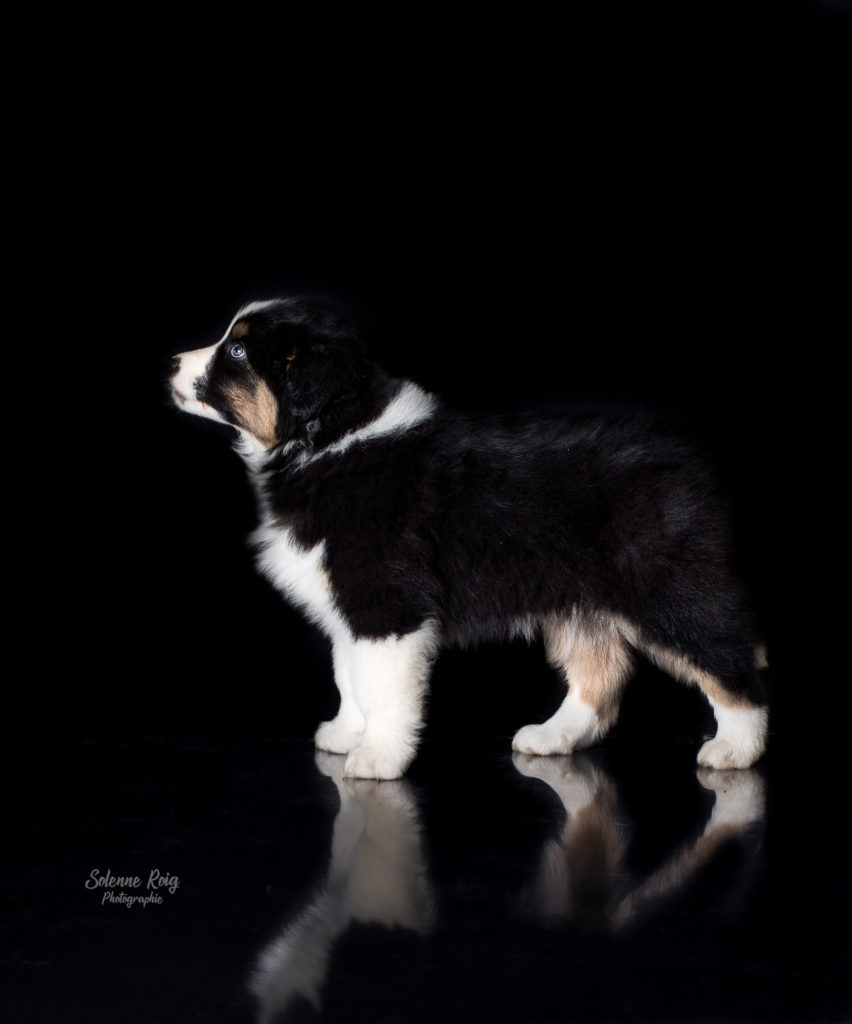 096A3687-Modifier-852x1024